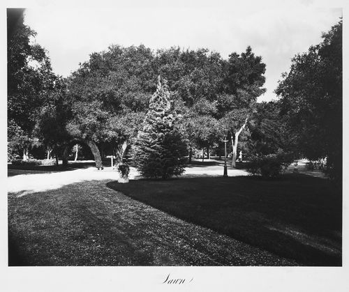 View of the estate grounds, Thurlow Lodge, Menlo Park, California
