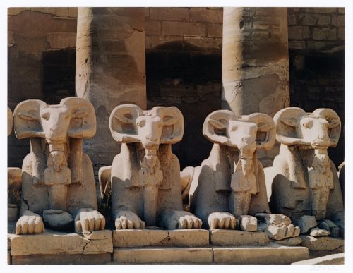 Ram-headed Sphinxes, Forecourt, Temple of Amun, Karnak