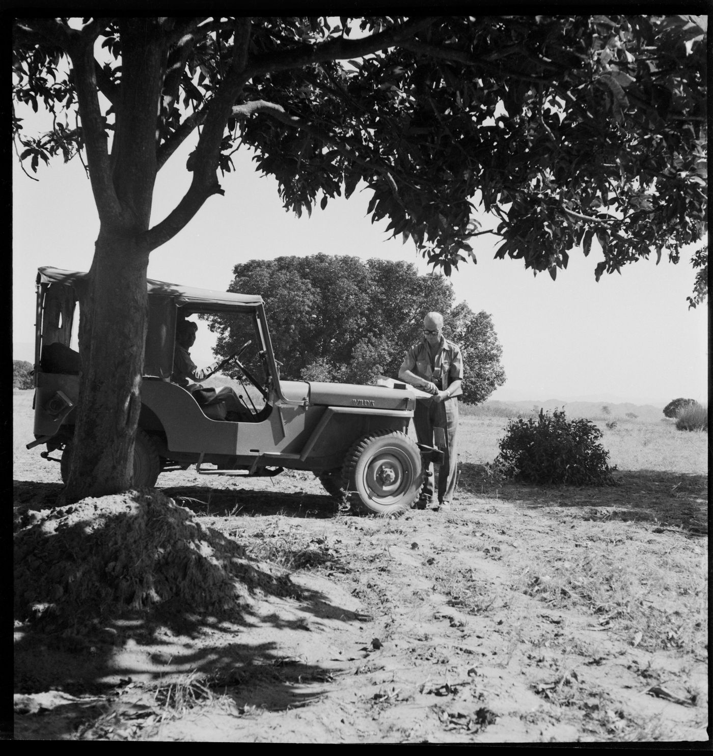 Pierre Jeanneret standing in front of a jeep under a tree in Chandigarh, India