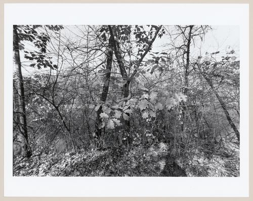 Riverside Park, Riverside, Illinois