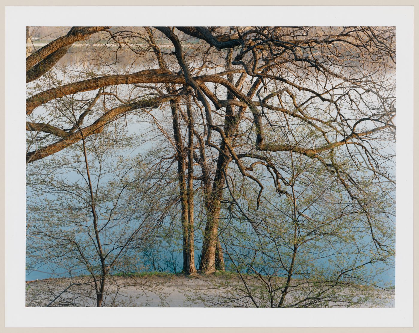 Viewing Olmsted: View of Jamaica Pond, Boston, Massachusetts