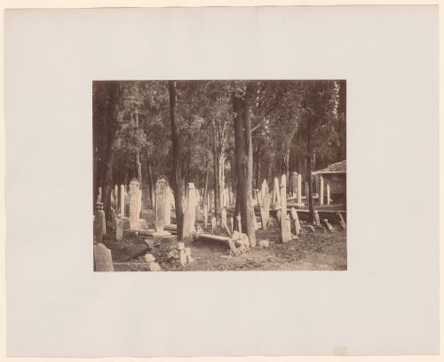 View of cippi in a cemetery, Constantinople (now Istanbul), Ottoman Empire (now in Turkey)