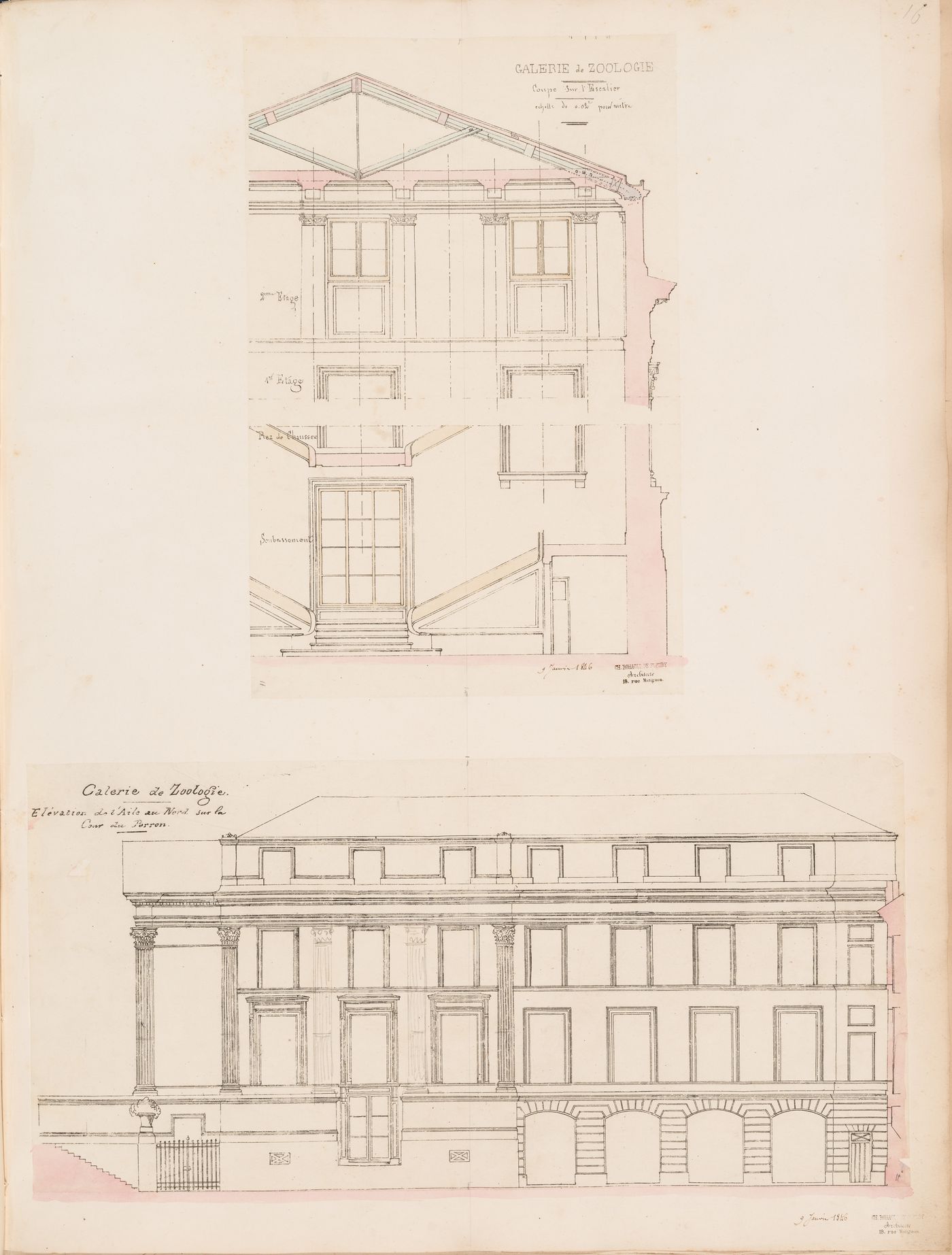 Project for a Galerie de zoologie, 1846: Cross section through the vestibule and staircase and elevation for the north wing