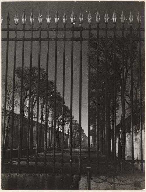 Night view of one of the Jardin des Tuileries tree-lined avenues, as seen from outside the iron fence along Rue de Rivoli