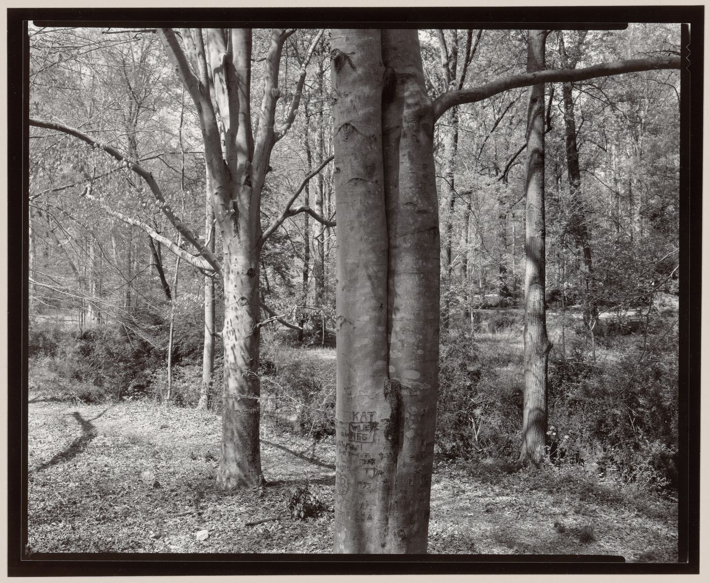 Druid Hills, Atlanta, Georgia, United States