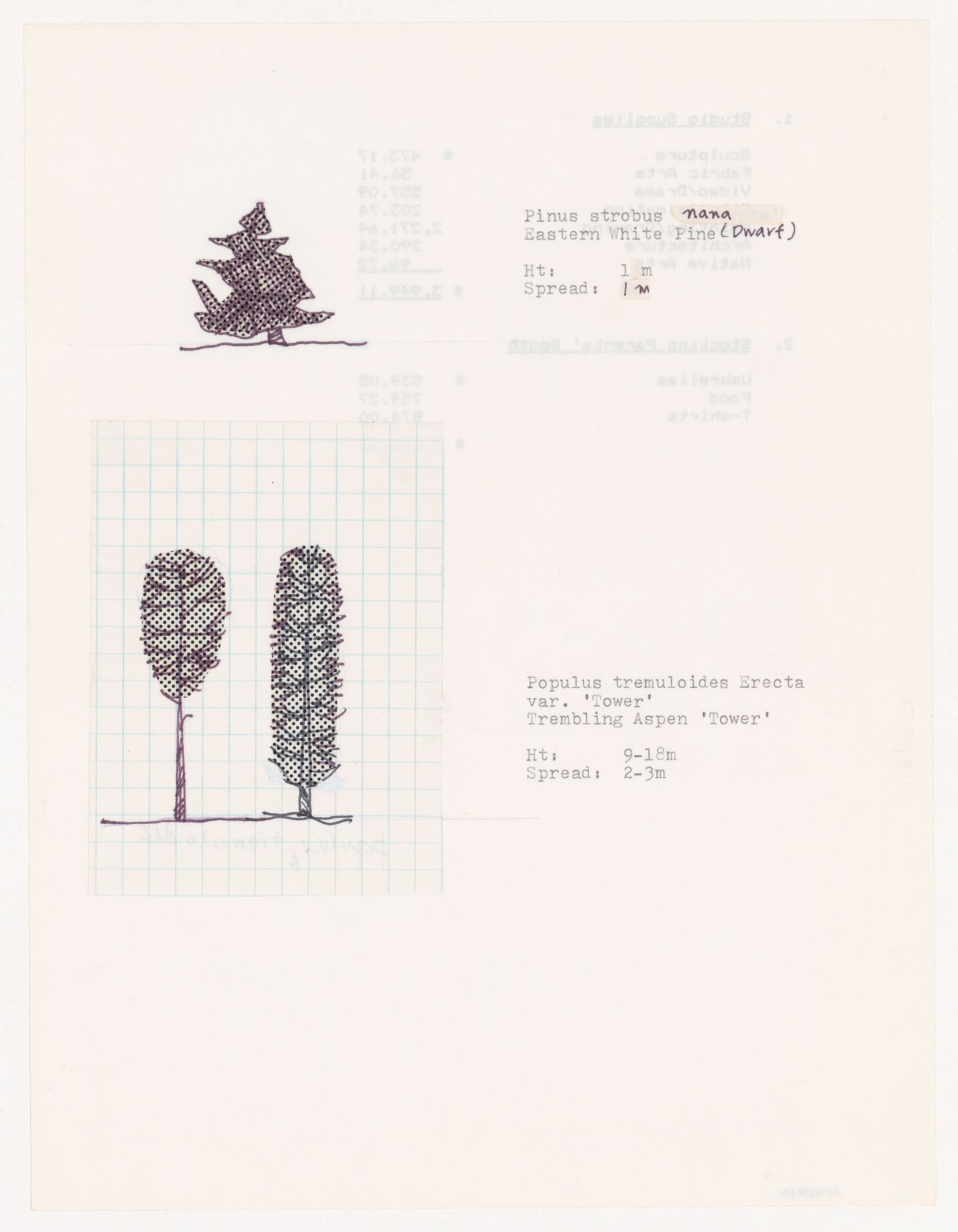 Plant specifications with illustration of specimens for National Gallery of Canada, Ottawa, Ontario