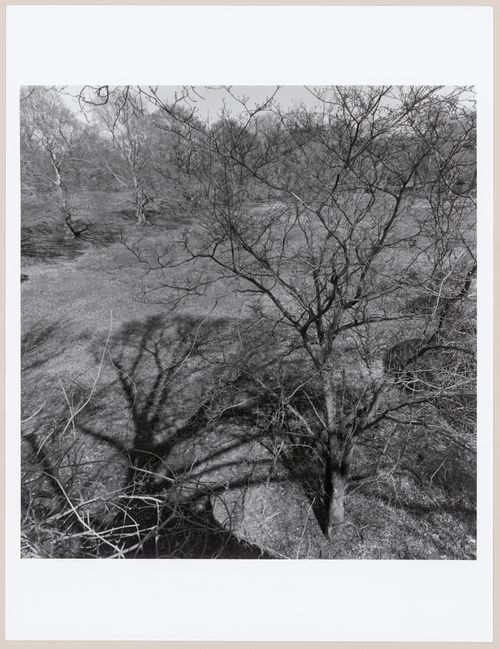 Rockwood Hall, The William D. Rockefeller Estate, Mount Pleasant, North Terrytown, New York