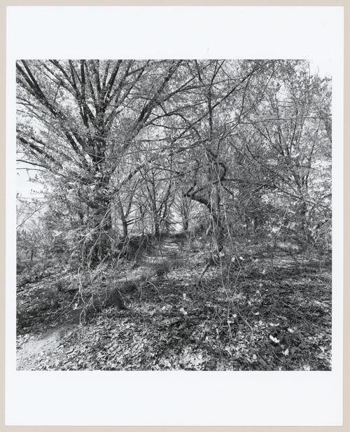 Highland Park, Rochester, New York