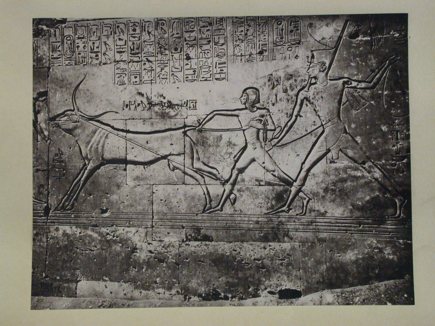Temple of Seti I, relief on East Wall, Abydos, Egypt
