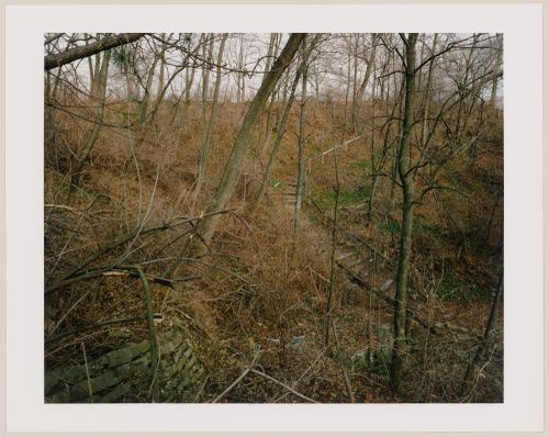 Viewing Olmsted: View of Ravine, south of pavilion, Lake Park, Milwaukee, Wisconsin