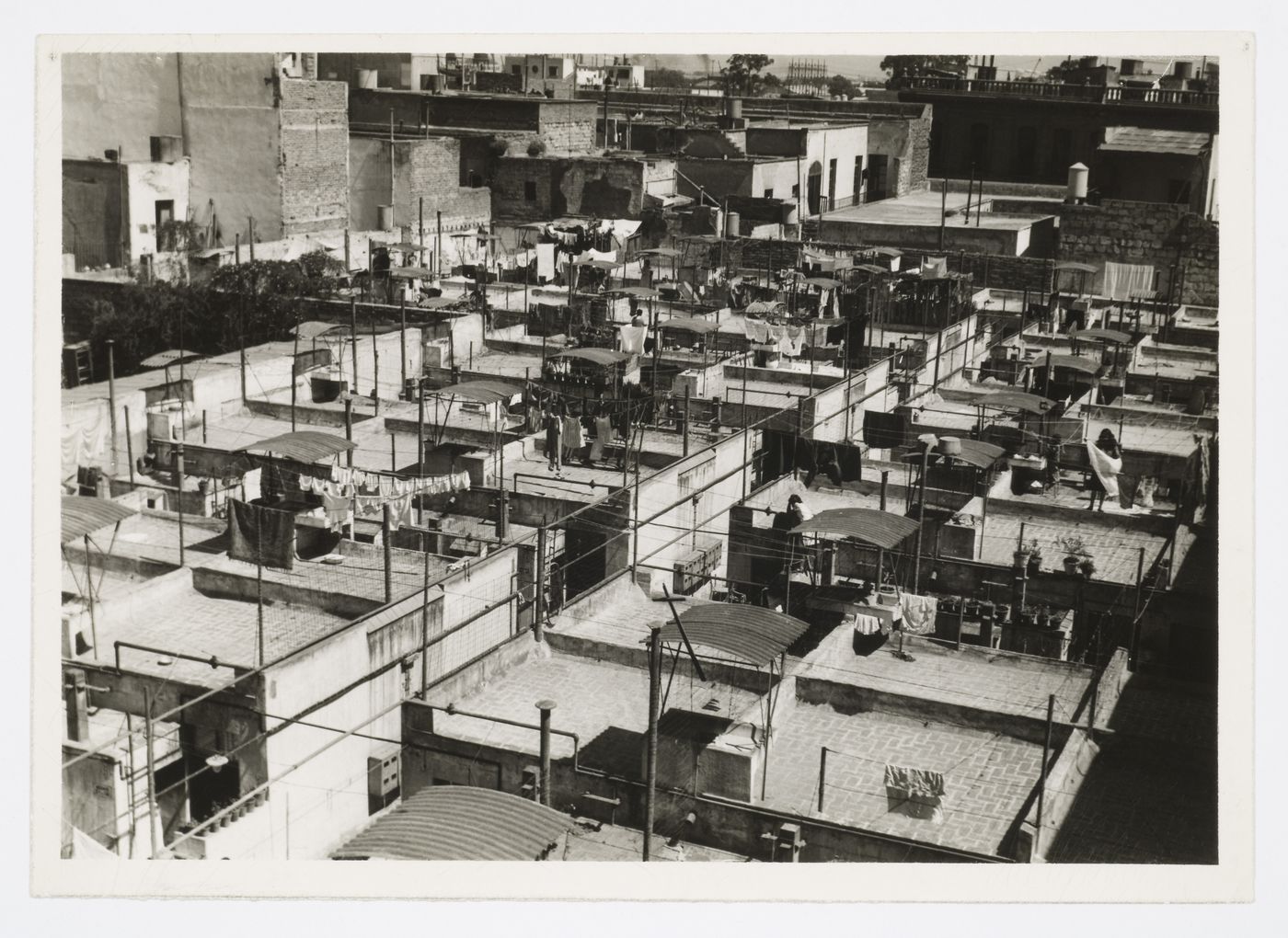 View of house roof tops, Calle del Pino, Mexico City, Mexico