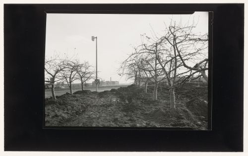 View of the Apple Alley walkway next to the orchard, CCA garden, Montréal, Québec, Canada
