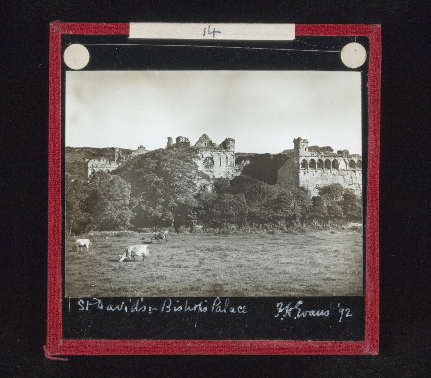 General view of bishop's palace from field, St. David's, Wales
