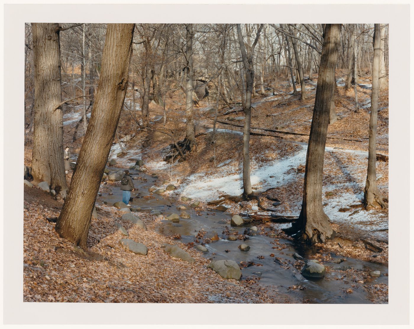 Viewing Olmsted: View of The Woods, Prospect Park, Brooklyn, New York City, New York