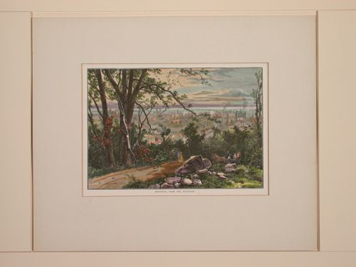 Montreal from the mountain