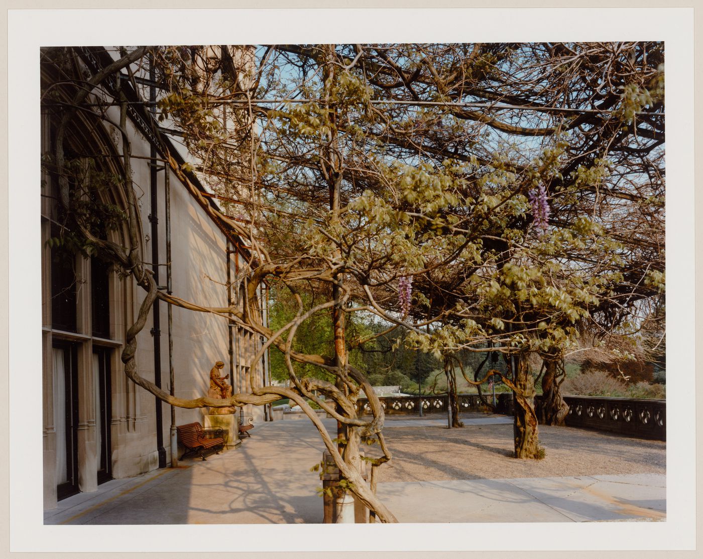 Viewing Olmsted: View along terrace, Vanderbilt Estate, "Biltmore", Asheville, North Carolina