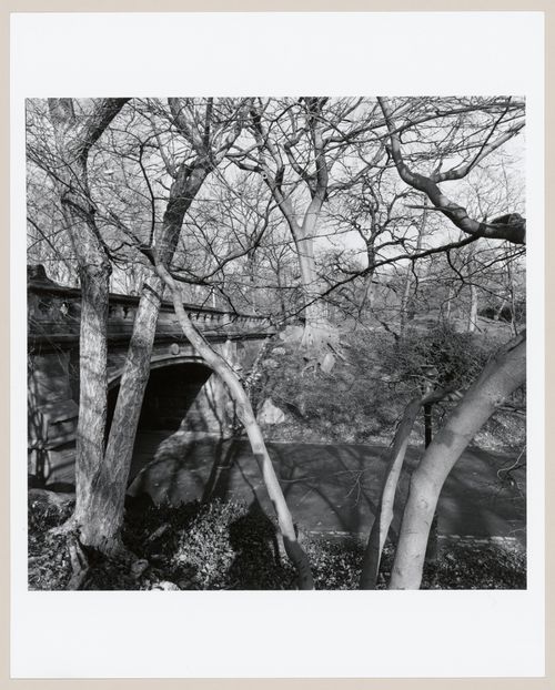 Central Park, New York, New York