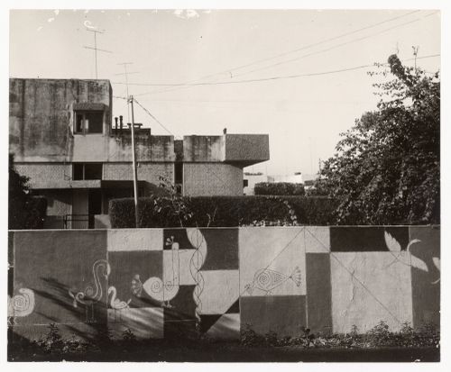 Photograph of Aditya Prakash's mural with birds on the inside face of the boundary wall of his house in Sector 8, Chandigarh, India