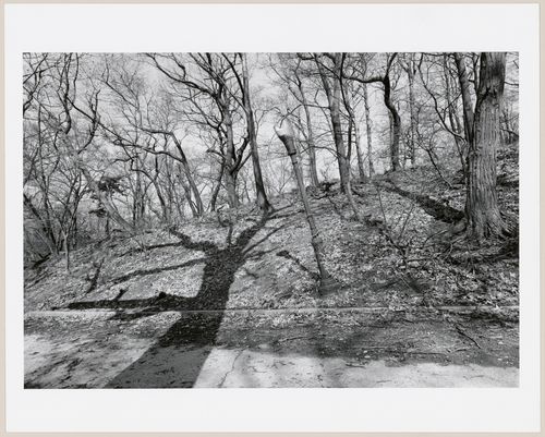 Prospect Park, Brooklyn, New York City, New York