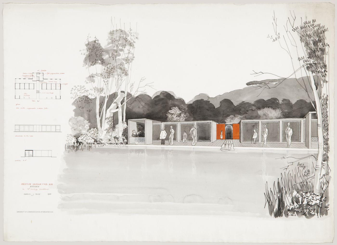 «Sketch Design for an Aviary»: Student drawing, University of Cambridge School of Architecture