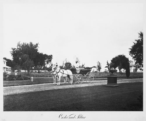 View of the estate grounds, horses and carriage, Thurlow Lodge, Menlo Park, California
