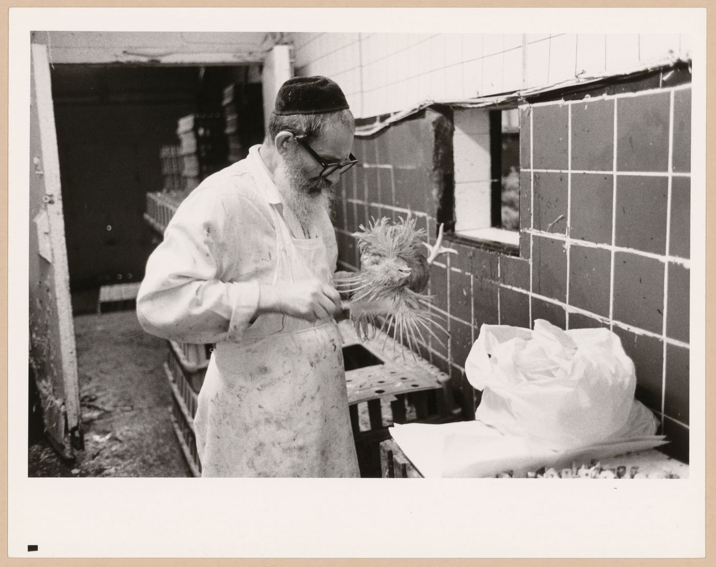 Montréal, Boulevard Saint-Laurent