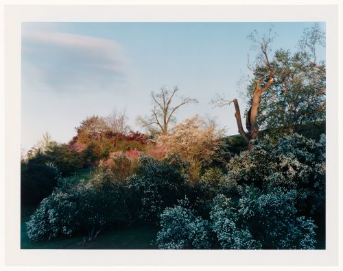 Viewing Olmsted: View of Highland Park, Rochester, New York
