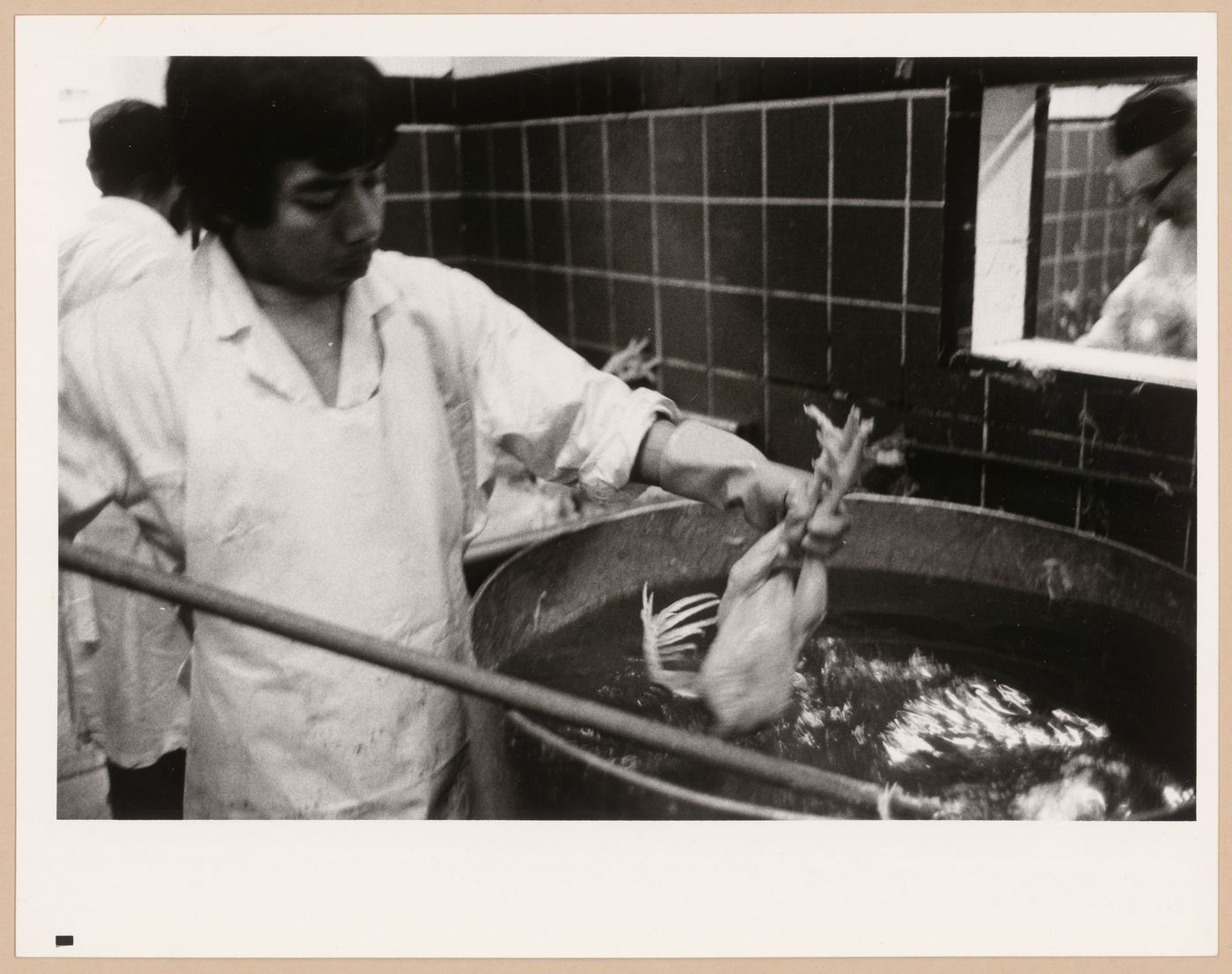 Montréal, Boulevard Saint-Laurent