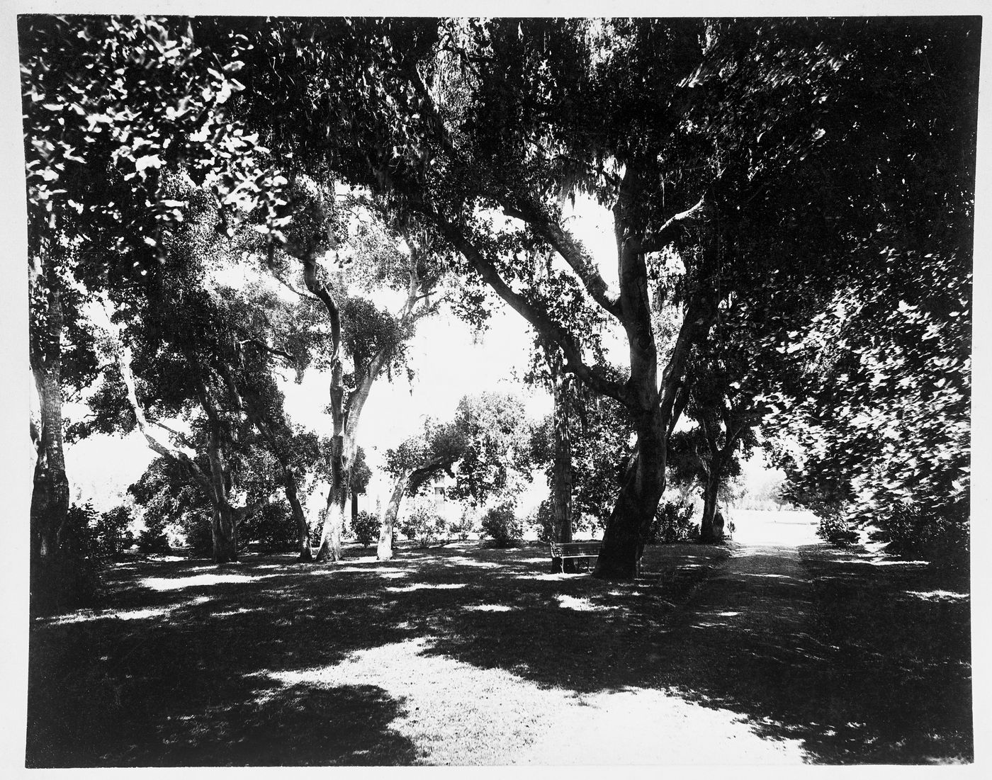 View of a lawn, Linden Towers, James Clair Flood Estate, Atherton, California