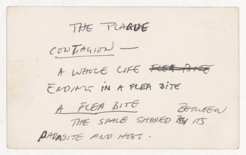 The plague contagion / A whole life ending in a flea bite / A flea bite / The space shared between its parasite and host