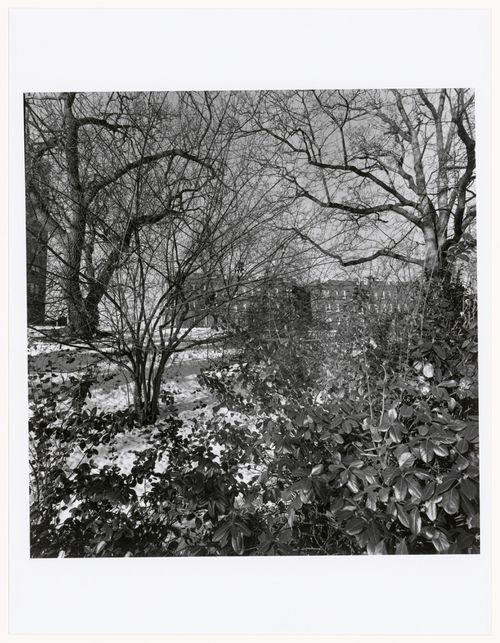 Prospect Park, Brooklyn, New York