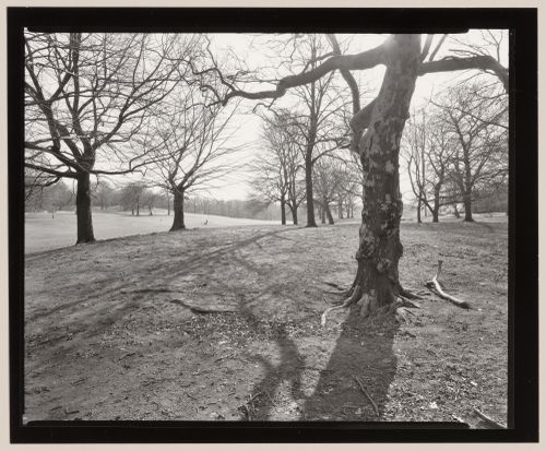 Long Meadow, Prospect Park, Brooklyn, New York City, New York