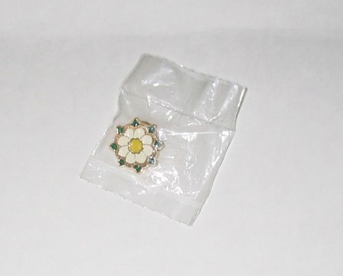 Flower pin possibly related to the landscape project Northwest Territories Legislative Assembly Building, Yellowknife, Northwest Territories