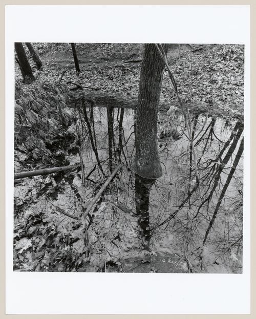 Middlesex Fells Metropolitan, Boston, Massachusetts