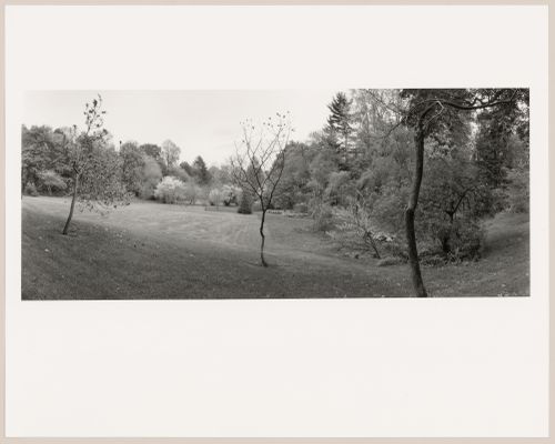 View along the approach road, Southwood, the Barthold Schlesinger Estate (now Holy Transfiguration Monastery), Brookline, Massachusetts