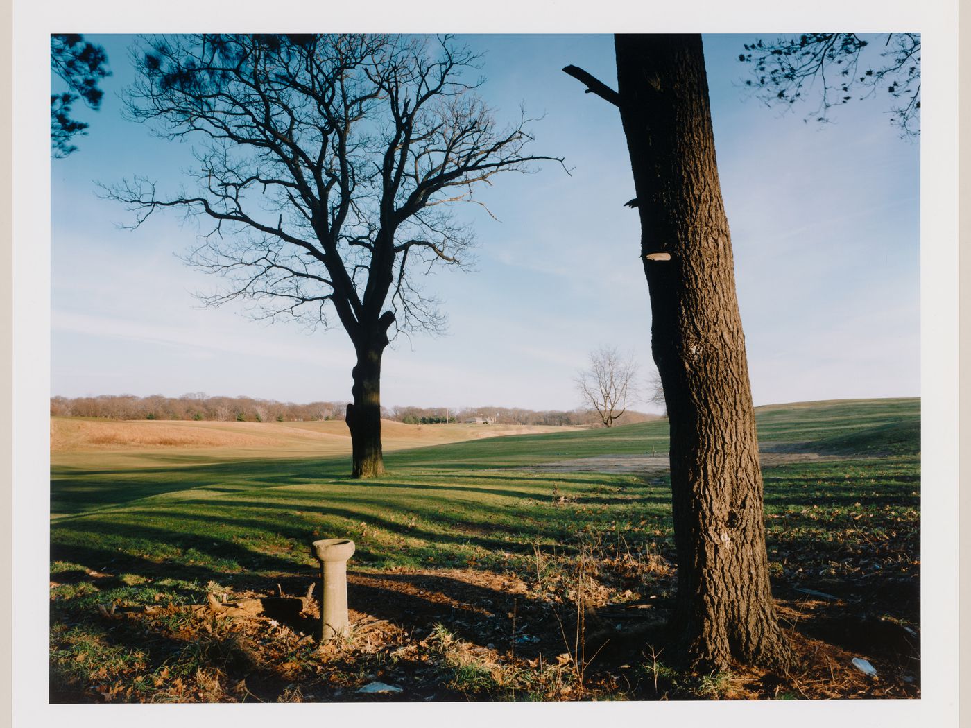 Viewing Olmsted View of Scarboro Hill, Franklin Park, Boston, Massachusetts
