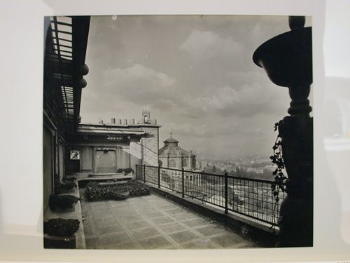 View of a roof terrace with a vase, plants and a metal fence