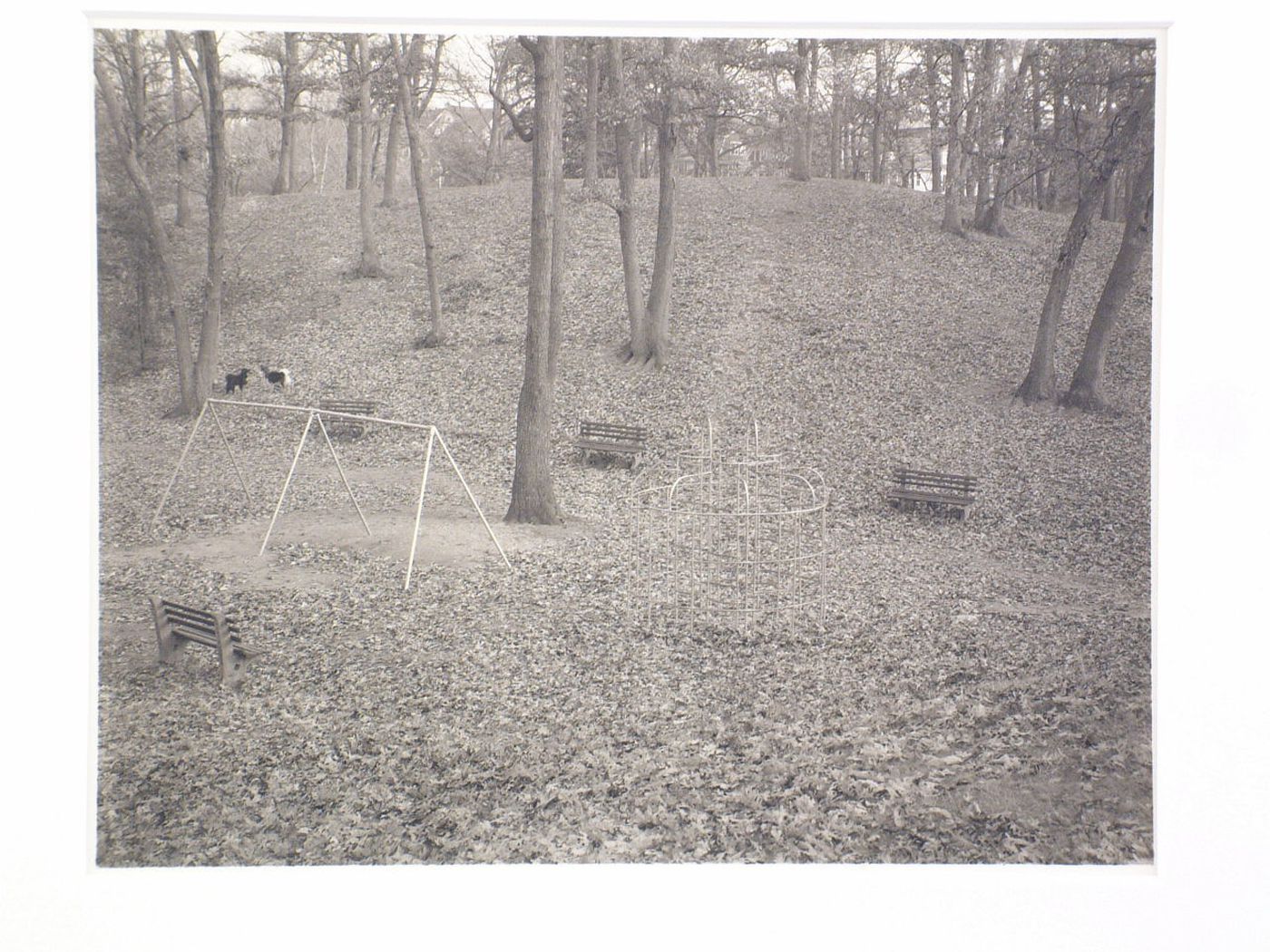 Park scene with playground and dogs, Waterbury, Connecticut