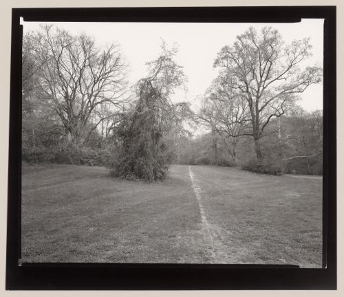 Near bridge no, 5, Cherokee Park, Louisville, Kentucky