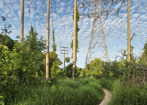 An Enduring Wilderness: Footpath, Lower Don Parklands, Toronto