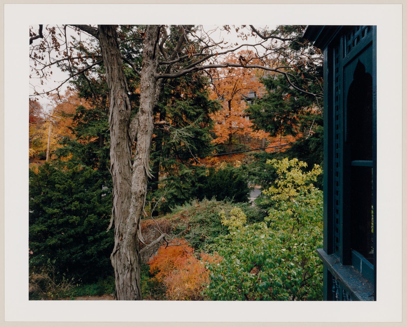 Viewing Olmsted: View of "Fairsted", view from second storey sunroom towards Warren Avenue, Brookline, Massachusetts