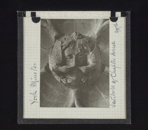 View of boss with foliate mask and two birds in vestibule of Chapter House of York Minster, York, North Yorkshire, England