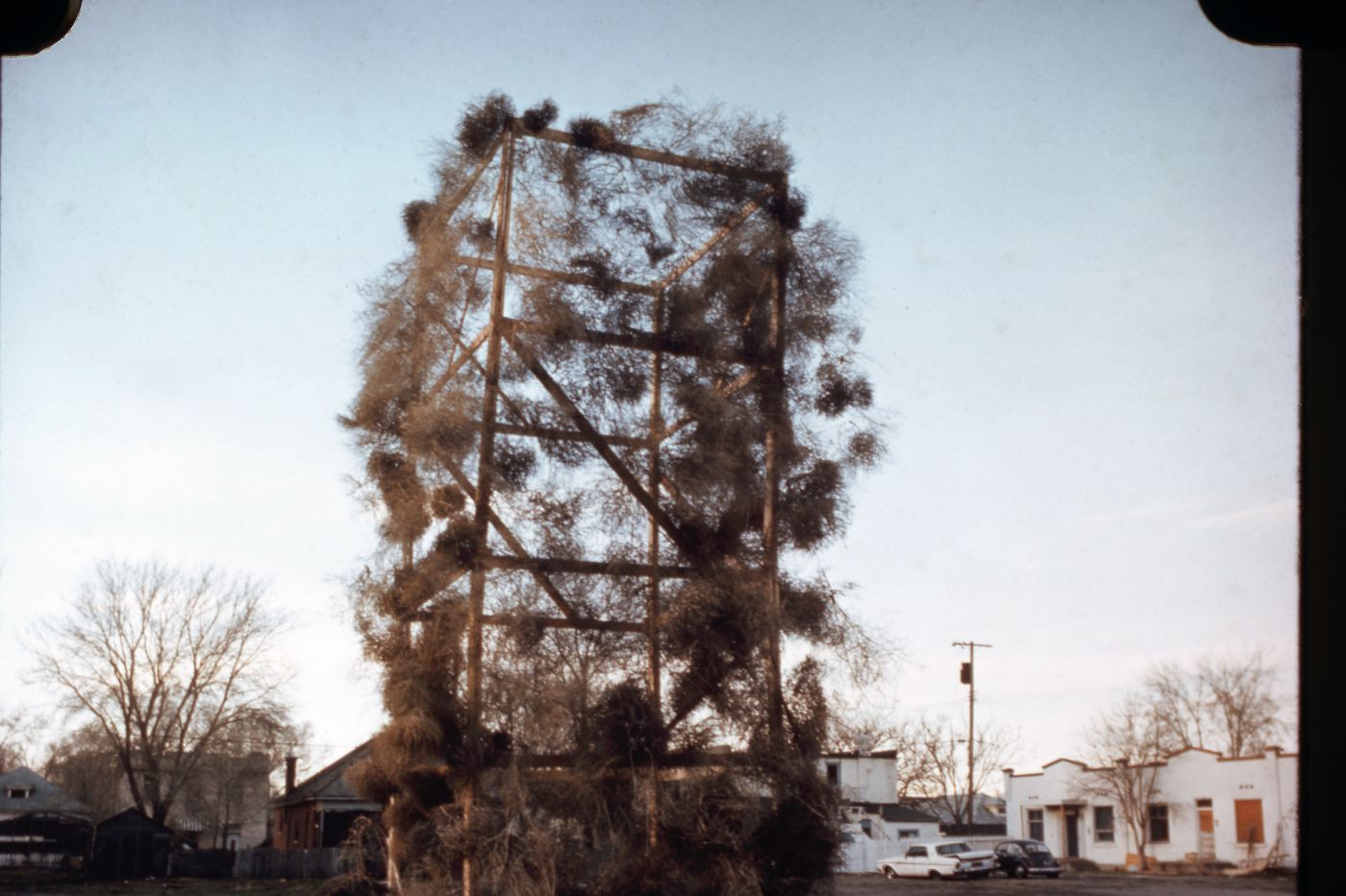 Photograph of Tumbleweeds Catcher