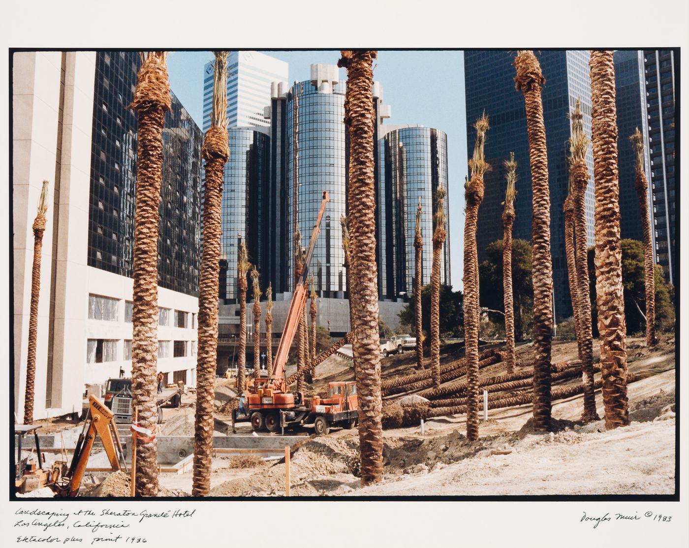 Sheraton Grande Hotel, landscaping palm trees, Los Angeles, California