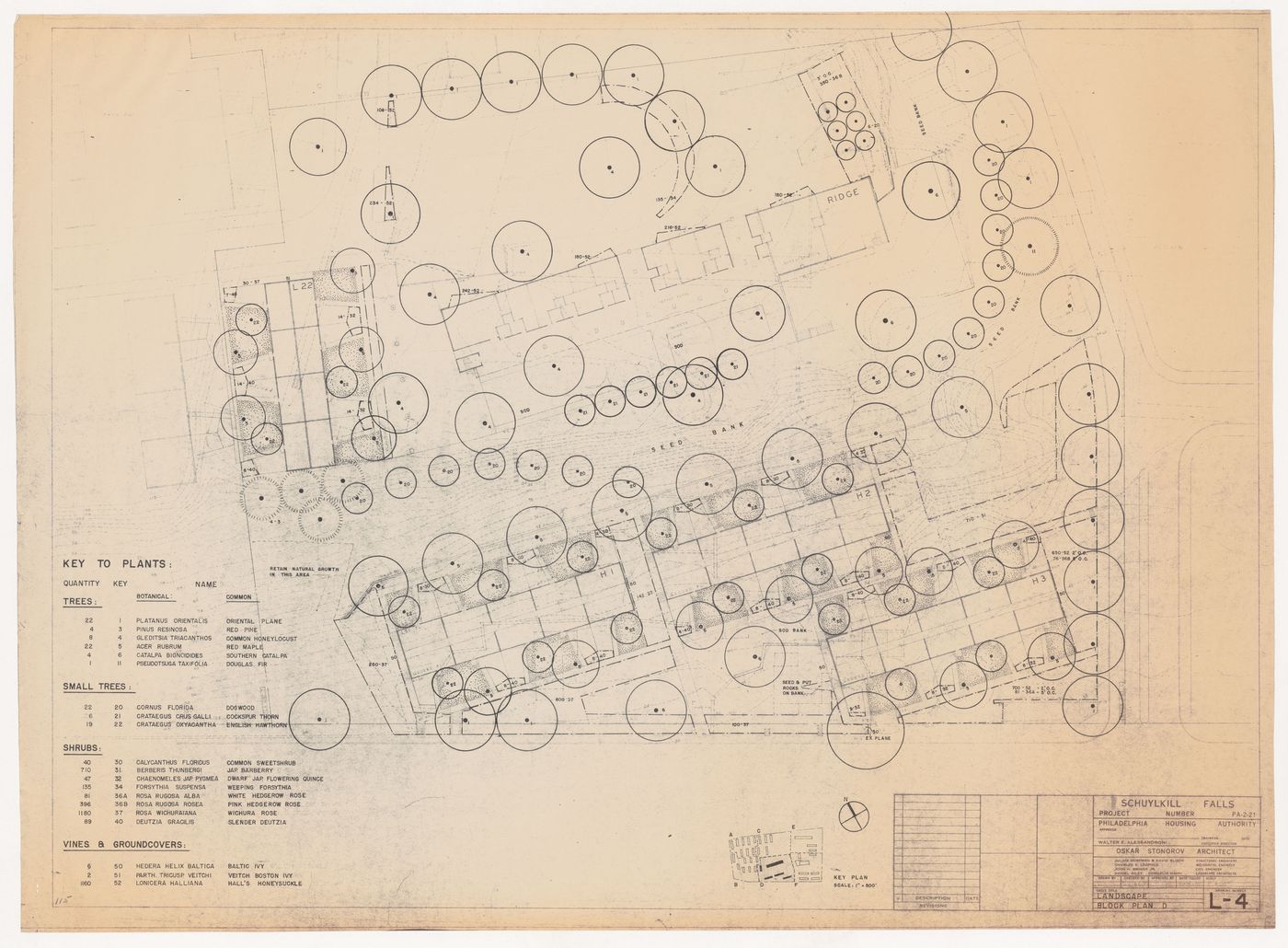 Planting plan for the Schuylkill Falls, Philadelphia, Pennsylvania