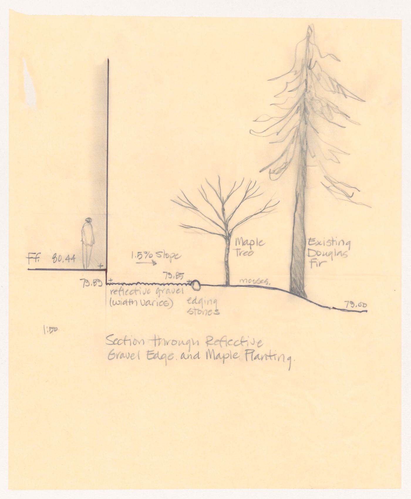 Section through reflective gravel edge and maple planting for C. K. Choi Institute of Asian Research, University of British Columbia, Vancouver, British Columbia