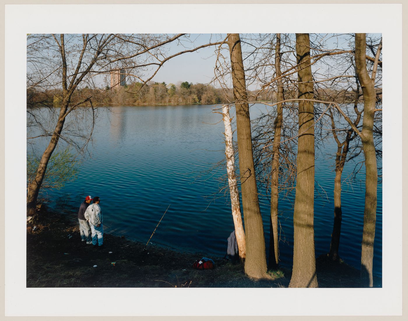 Viewing Olmsted: View of Jamaica Pond, Boston, Massachusetts