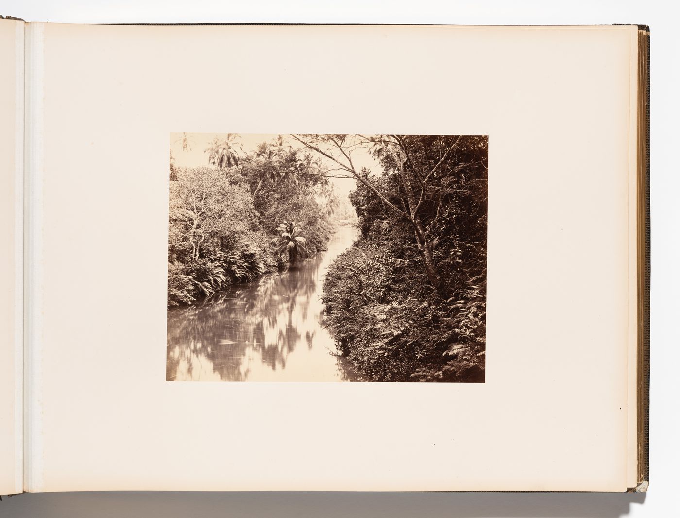 View of a river and its banks, Ceylon (now Sri Lanka)