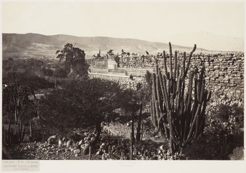 View of the eastern façade of the Fourth Palace (also known as the East Building in Quadrangle F) with plants in the foreground and hills in the background, Mitla, Mexico
