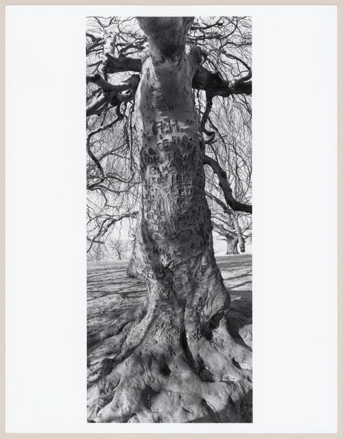 Rockwood Hall, The William D. Rockefeller Estate, Mount Pleasant, North Terrytown, New York